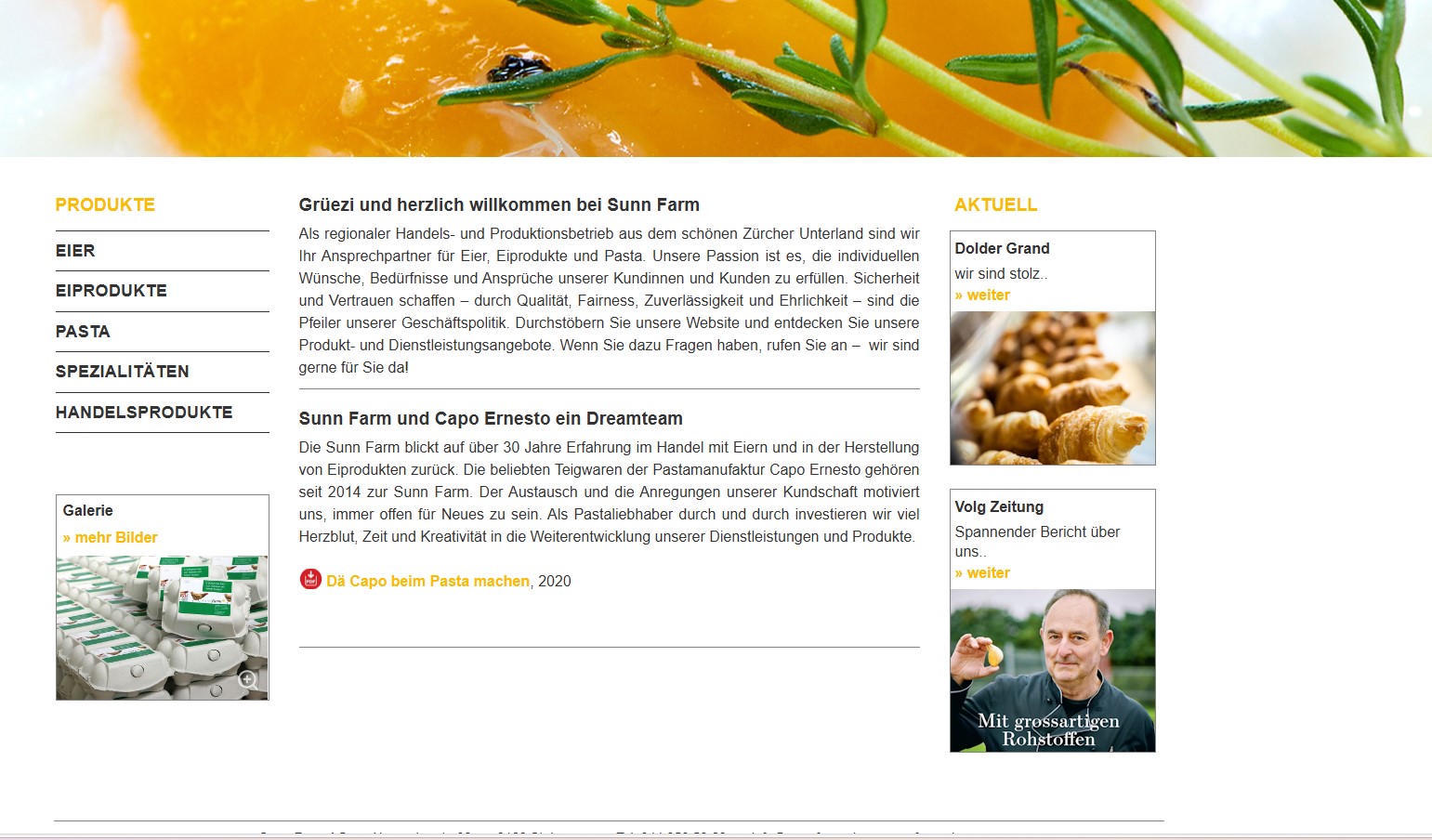 Neue Webseite SF